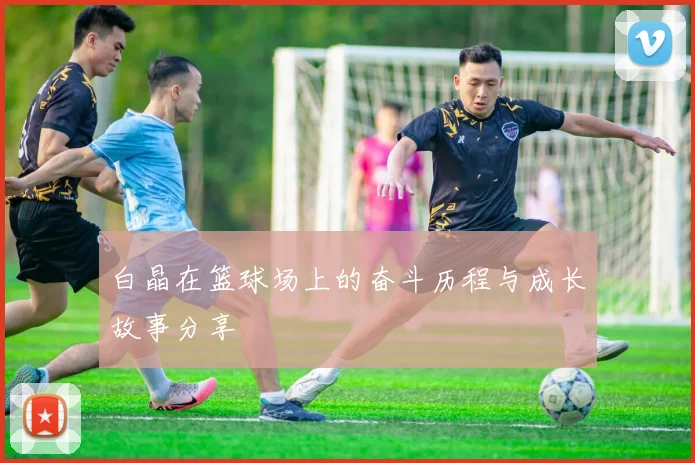 白晶在篮球场上的奋斗历程与成长故事分享