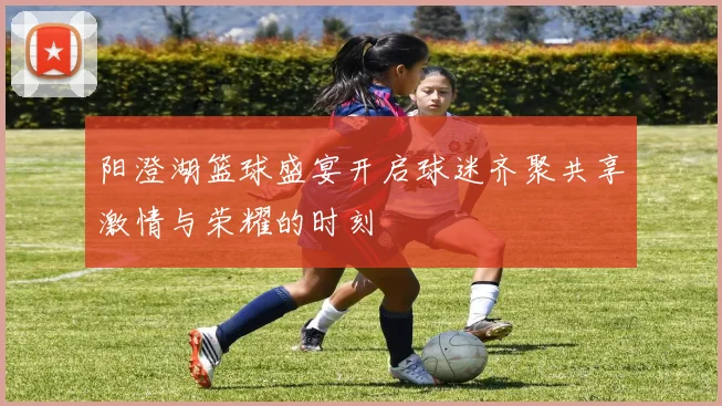 阳澄湖篮球盛宴开启球迷齐聚共享激情与荣耀的时刻