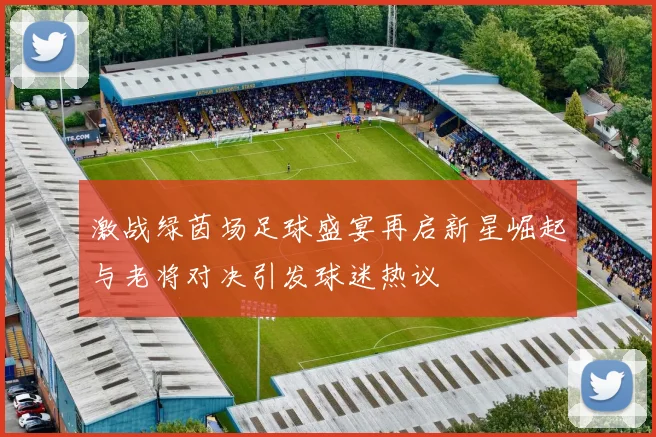 激战绿茵场足球盛宴再启新星崛起与老将对决引发球迷热议