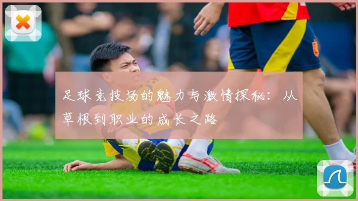 足球竞技场的魅力与激情探秘：从草根到职业的成长之路