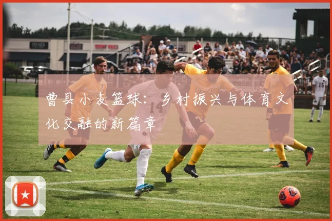 曹县小麦篮球：乡村振兴与体育文化交融的新篇章