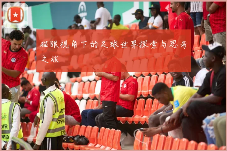 猫眼视角下的足球世界探索与思考之旅