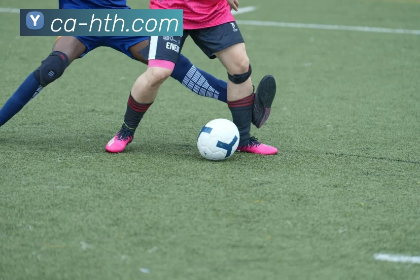 华体会手机版APP 高清赛事图